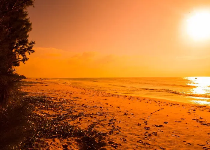 Feng Shui & Phan Thiet